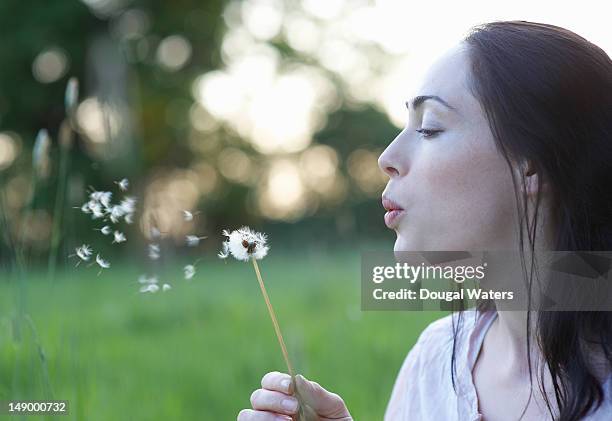 profile of woman blowing dandelion. - dandelion blowing stock pictures, royalty-free photos & images