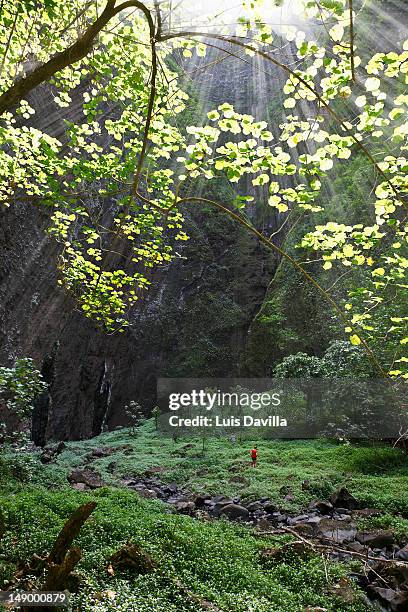 hakavi waterfall in hakani valley - ヌクヒバ島 ストックフォトと画像