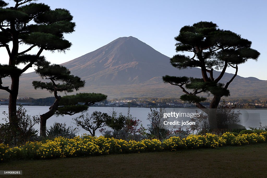 Garden with Lake Kawaguchiko and Mt. Fuji,
