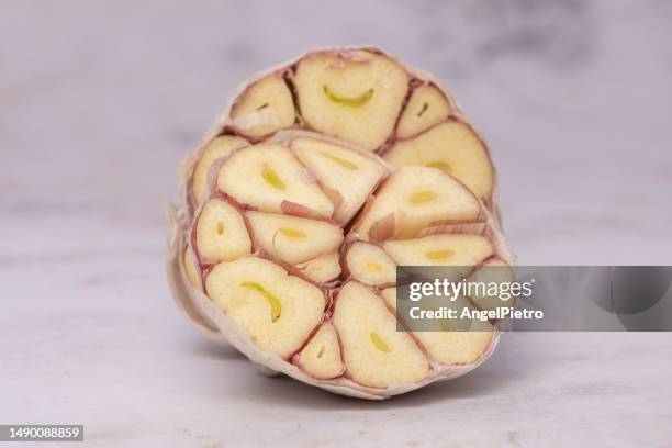 a head of purple garlic cut in half. - garlic bulb half stock pictures, royalty-free photos & images