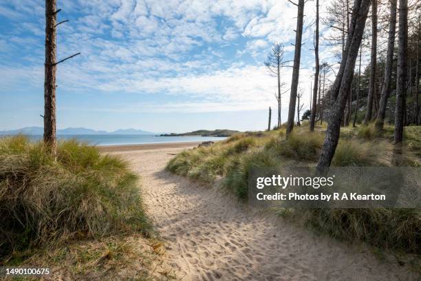 newborough beach, anglesey, north wales - anglesey stock pictures, royalty-free photos & images