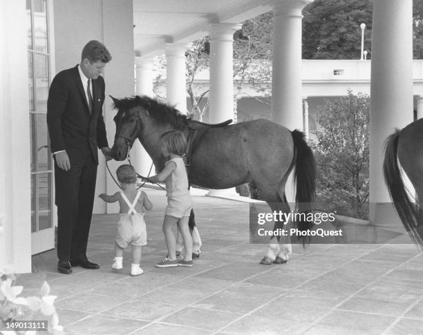 Outside the White House's Oval Office, American President John F. Kennedy and his children, John and Caroline, play with pony Macaroni, Washington...