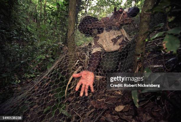 View of trapper Joe 'Monkey Joe' Cabey sets a chicken wire trap in a forest outside of Basseterre, St Kitts, June 21, 2002.