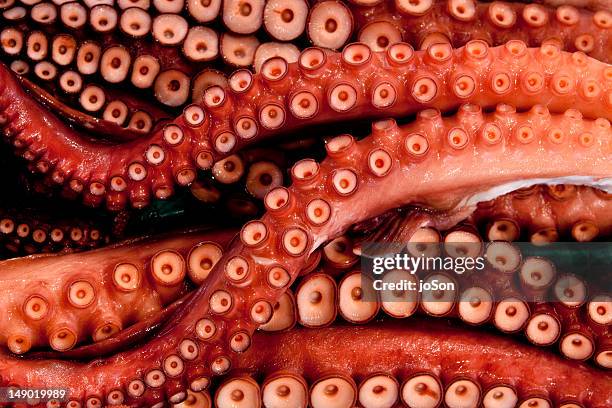 octopus for sale at tsukiji market - octopus photos et images de collection