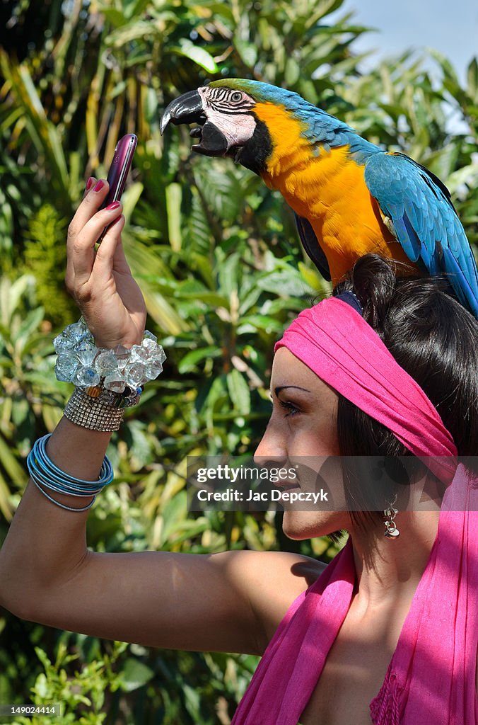 Large parrot answering her friend's mobile phone