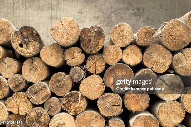 cross section tree log with wood texture pattern background - rheingau stock pictures, royalty-free photos & images