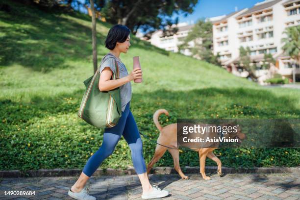 young asian woman holding a reusable drinking bottle, walking her pet dog on a leash in the park on a sunny morning, enjoying time together in the nature. living with pets. pet and owner bonding time - ordinary people stock pictures, royalty-free photos & images
