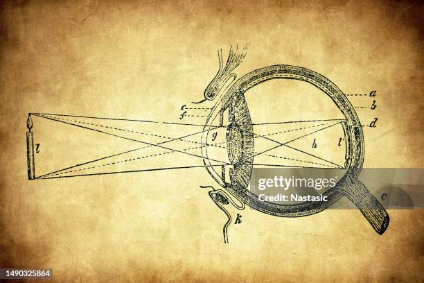 human eye - eyesight diagram stock illustrations