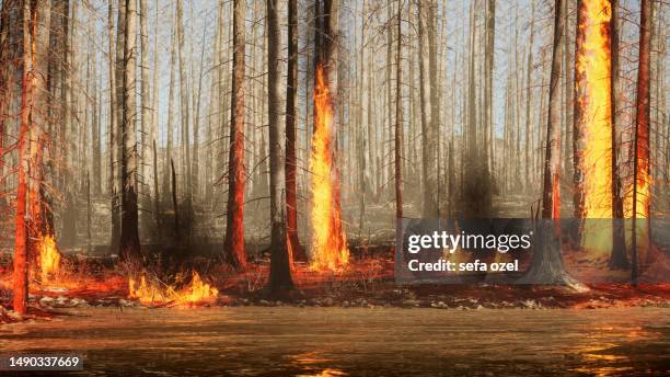 forest fire water's edge - forest fire - climate change stock pictures, royalty-free photos & images