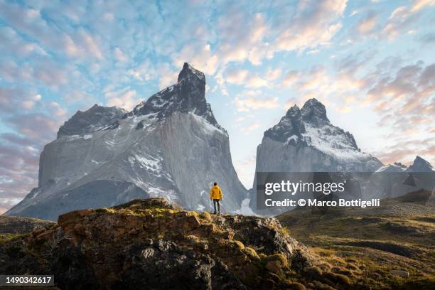 hiker admiring the cuernos del paine range, patagonia - magallanes y antartica chilena regio stockfoto's en -beelden