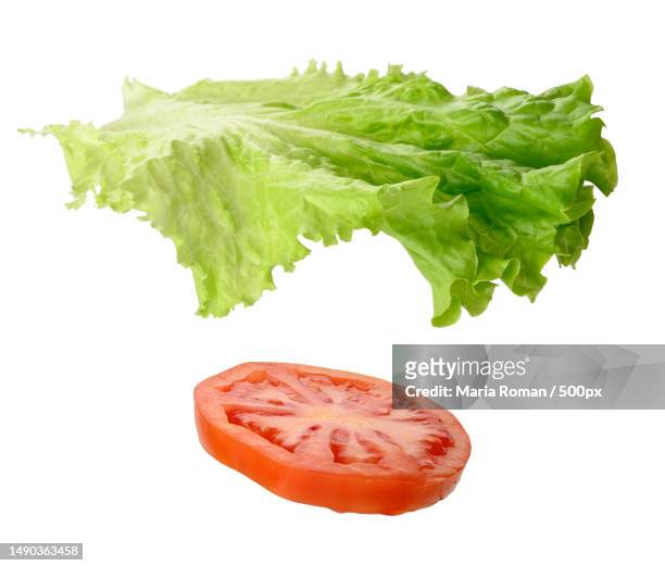 green lettuce and round slice of ripe red tomato isolated on white background,close up,romania - tomate stock pictures, royalty-free photos & images