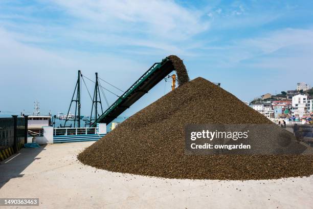 Sand Loading Track Sand Loader Photos and Premium High Res Pictures - Getty Images