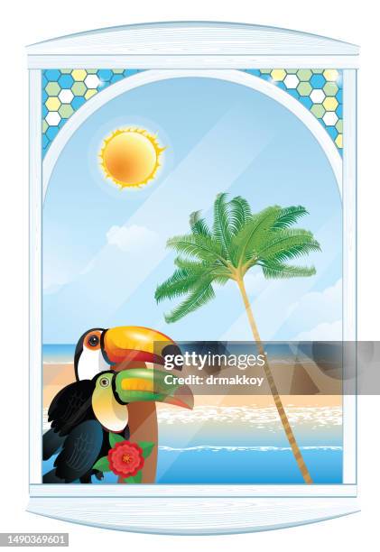 tropical birds by the window with a background of the sea - toucan stock illustrations