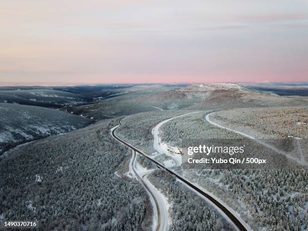 sunrise above snowy forest,fairbanks,alaska,united states,usa - fairbanks stock pictures, royalty-free photos & images