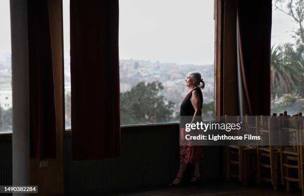 side view portrait of beautiful well-dressed older woman admiring scenic view from large windows - valparaíso città del cile foto e immagini stock