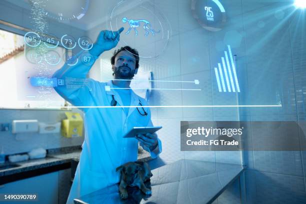 veterinarian analyzing data using augmented reality in an animal clinic - data science stock pictures, royalty-free photos & images