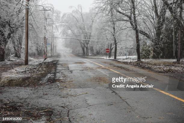 montreal ice storm 2023 - angela auclair stock pictures, royalty-free photos & images