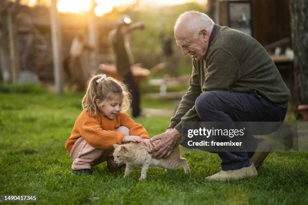 little girl and grandpa petting a cat - multi generational family with pet stock pictures, royalty-free photos & images