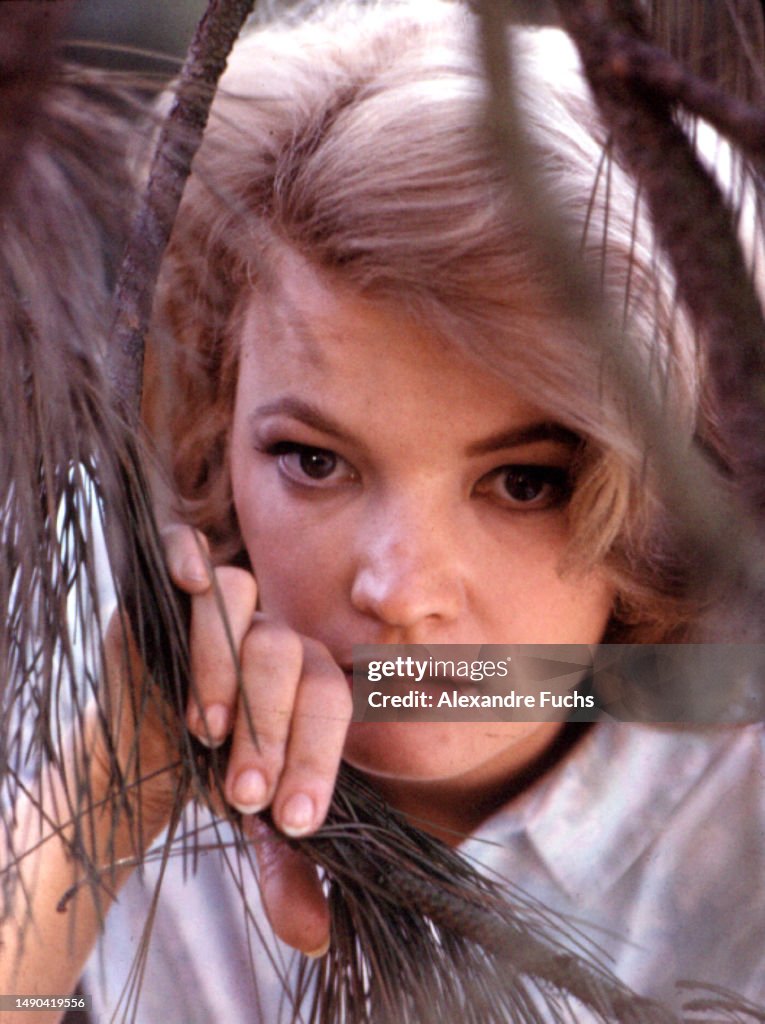 Gena Rutledge Actress Gena Rowlands in a scene of the film 'The Spiral Road' in ...
