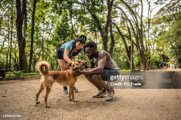 friends petting a stray dog in the park - woman man dog stock pictures, royalty-free photos & images