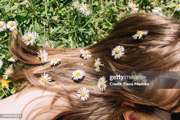 daisies in the hair of a brown-haired girl lying on the grass - happy tween girls lying on grass stock pictures, royalty-free photos & images