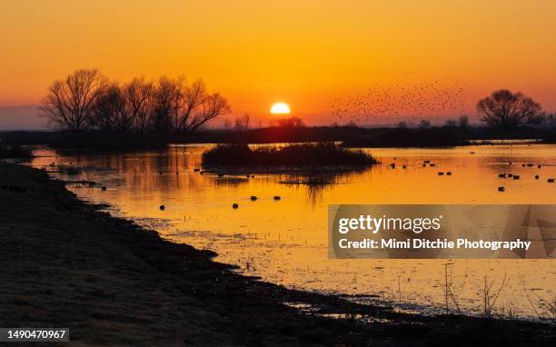 Merced Rufufu 11,622 Merced Stock Photos, High-Res Pictures, and Images - Getty Images