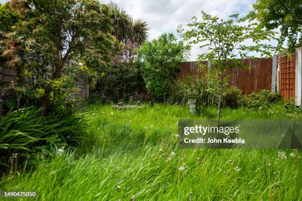 garden exteriors - long grass stock pictures, royalty-free photos & images