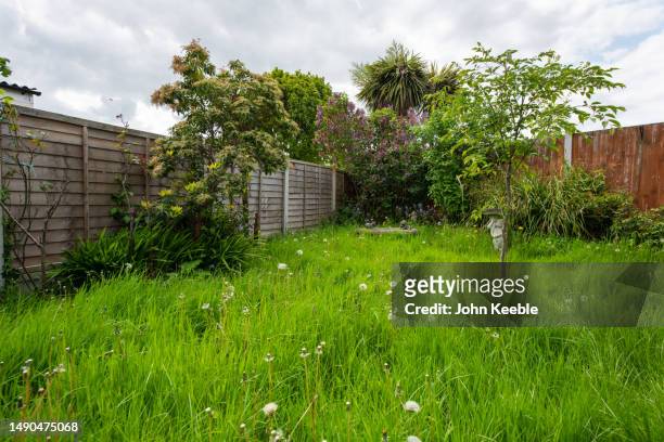 garden exteriors - long grass stock pictures, royalty-free photos & images