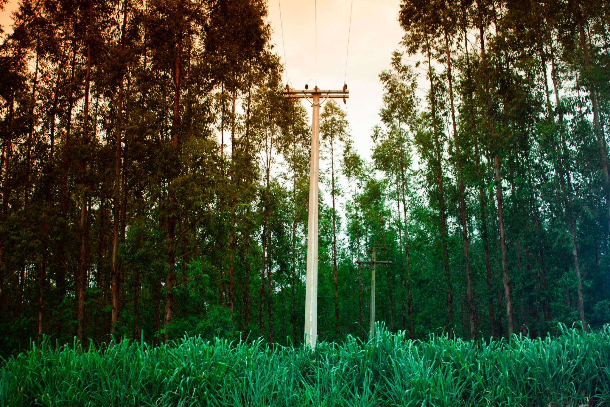 tecnologia elétrica