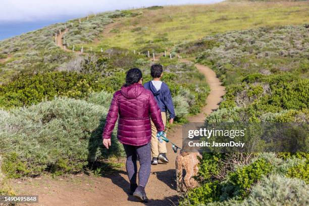 morning hike along the california coast - goldendoodle stock pictures, royalty-free photos & images