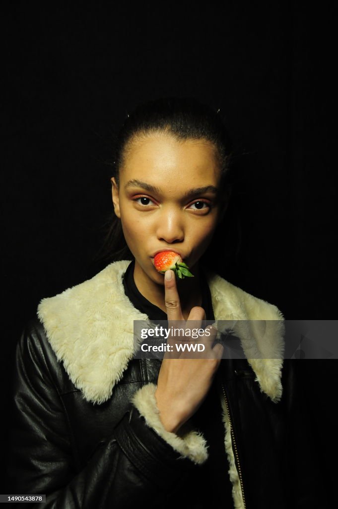Women's New York Fall/Winter Fashion Week 2014 Helmut Lang Bsb