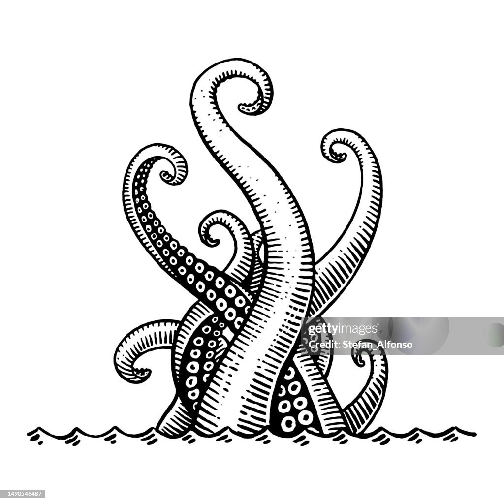 Vector drawing of a sea monster tentacles coming out of water