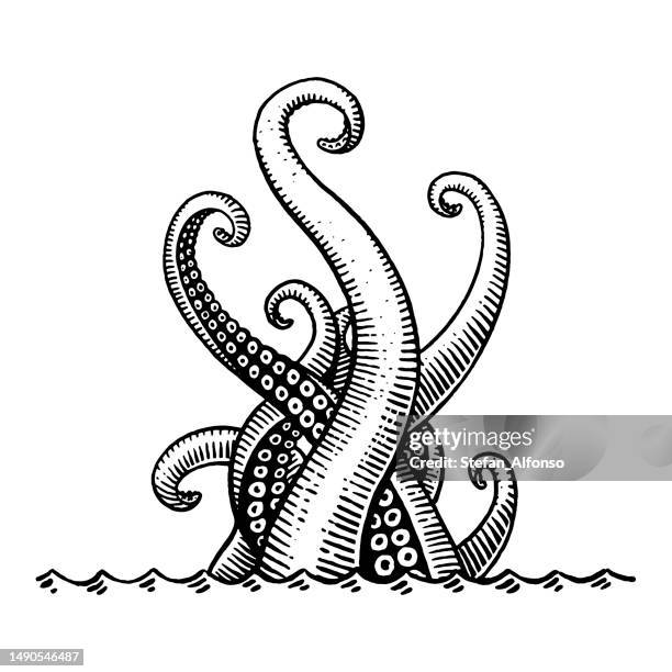 ilustrações de stock, clip art, desenhos animados e ícones de vector drawing of a sea monster tentacles coming out of water - tentacle