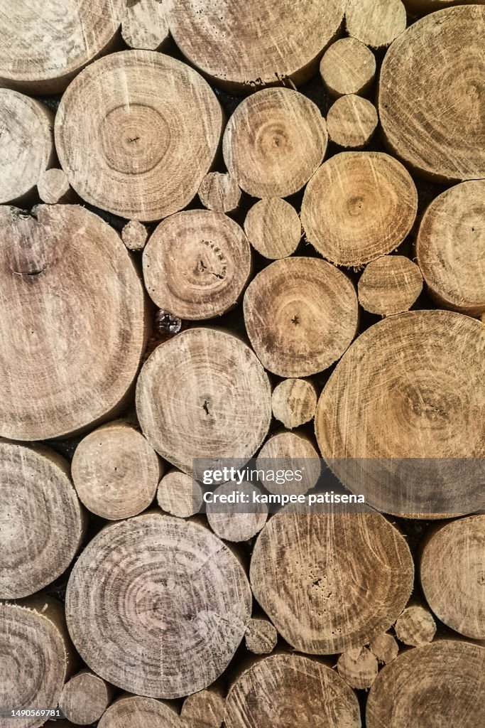 Cross Section Tree Log With Wood Texture Pattern Wall Decorated High ...