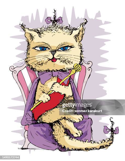 beauty queen cat - pet clothing stock illustrations