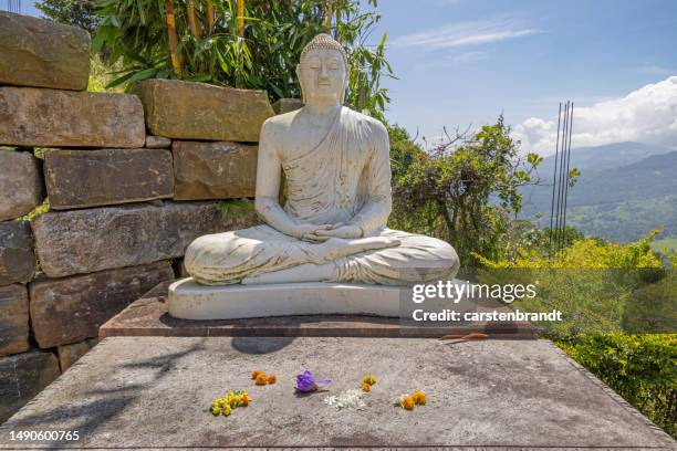 estatua de buda en piedra arenisca al costado de una carretera - kandy kandy district sri lanka fotografías e imágenes de stock