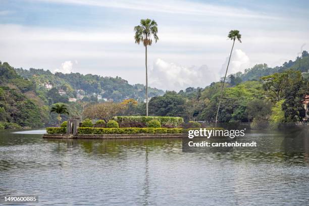 kleine insel mit park und zwei sehr hohen palmen - kandy kandy district sri lanka stock-fotos und bilder
