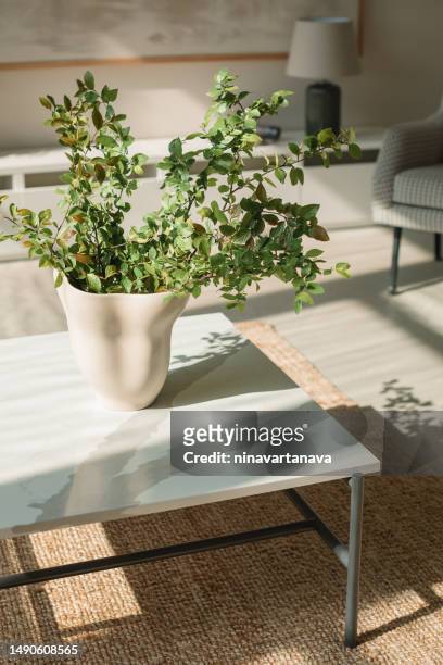 close-up of a vase filled with green foliage on a table in a living room - skandinavische kultur stock-fotos und bilder