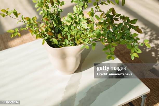 overhead view of a vase filled with green foliage on a table in a living room - side-table-top-view stock pictures, royalty-free photos & images