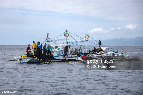 Durong Fish Romblon 33 Romblon Islands Stock Photos, High-Res Pictures, and Images - Getty ...