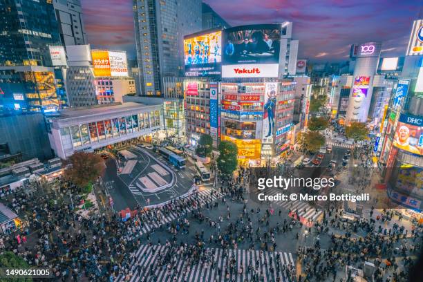 shibuya pedestrian crossing and city lights, tokyo, japan - distrito de shibuya fotografías e imágenes de stock