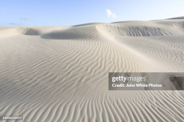 sand dunes. sleaford bay. south australia. - sand dune stock pictures, royalty-free photos & images