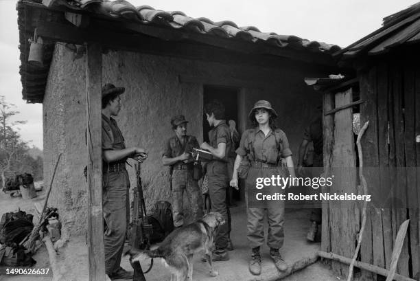Los Contras 249 Nicaragua Contras Stock Photos, High-Res Pictures, and Images ...