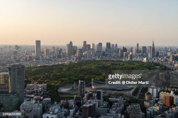 tokyo skyline with shinjuku and yoyogi park - yoyogi tokyo stock pictures, royalty-free photos & images