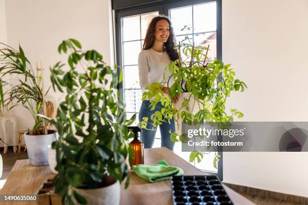 young woman carrying a potted plant to the table where she set up a plant caring station - carrying pot plant stock pictures, royalty-free photos & images