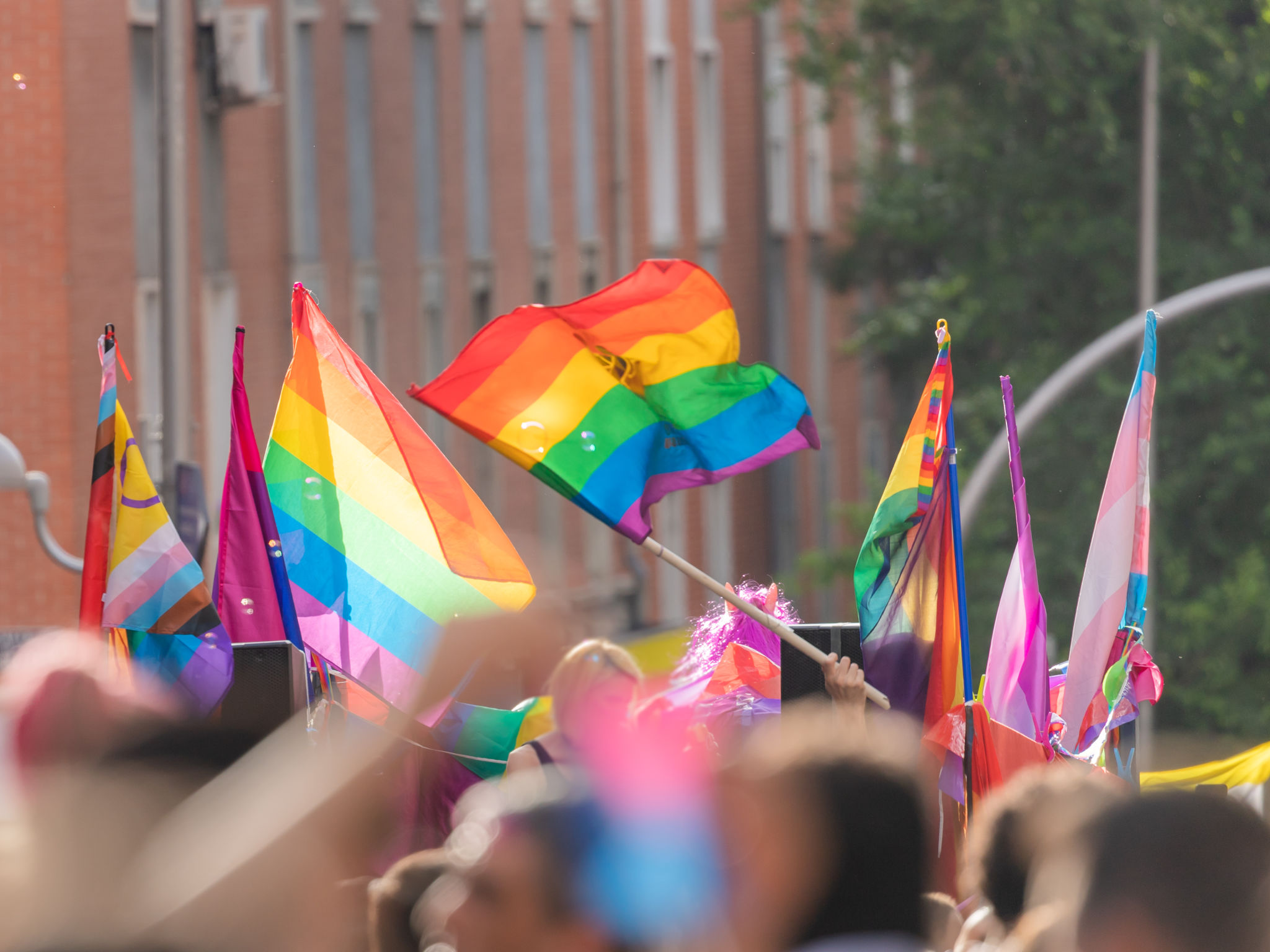 Pride day Pride day
