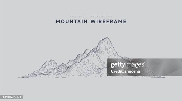 abstract cyber space concept mountain wireframe topography pattern background - topography stock illustrations
