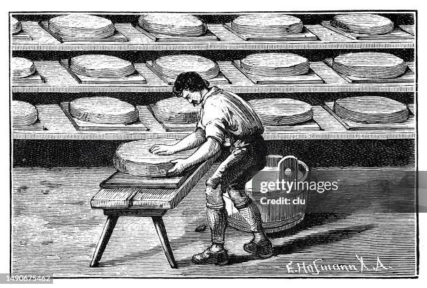 Meule Ronde 7 138 Fromage Illustrations haute résolution - Getty Images