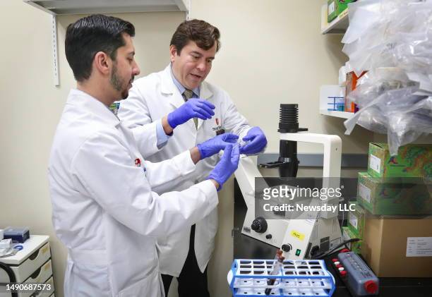 Dr. Andrew Handel, pediatric infectious disease physician, left, and Dr. Luis Marcos, infectious disease physician, use a microscope to inspect deer...