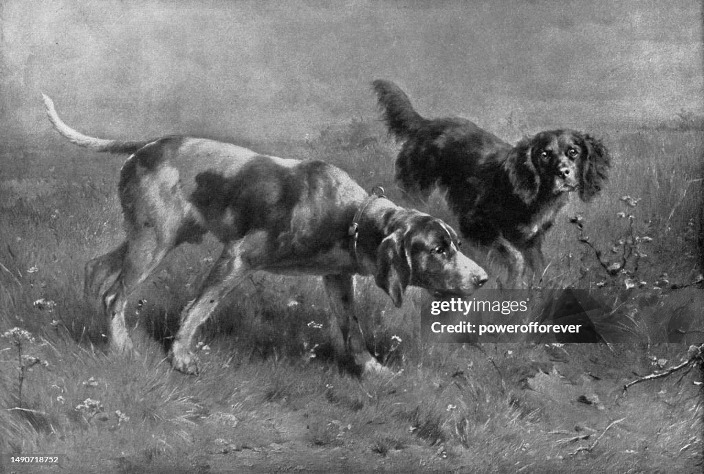 Auf der Spur/Zwei Jagdhunde auf der Pirsch, Gemälde von Carl Reichert - 19. Jahrhundert